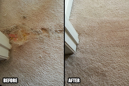 Creative Carpet Repair Carpinteria Image